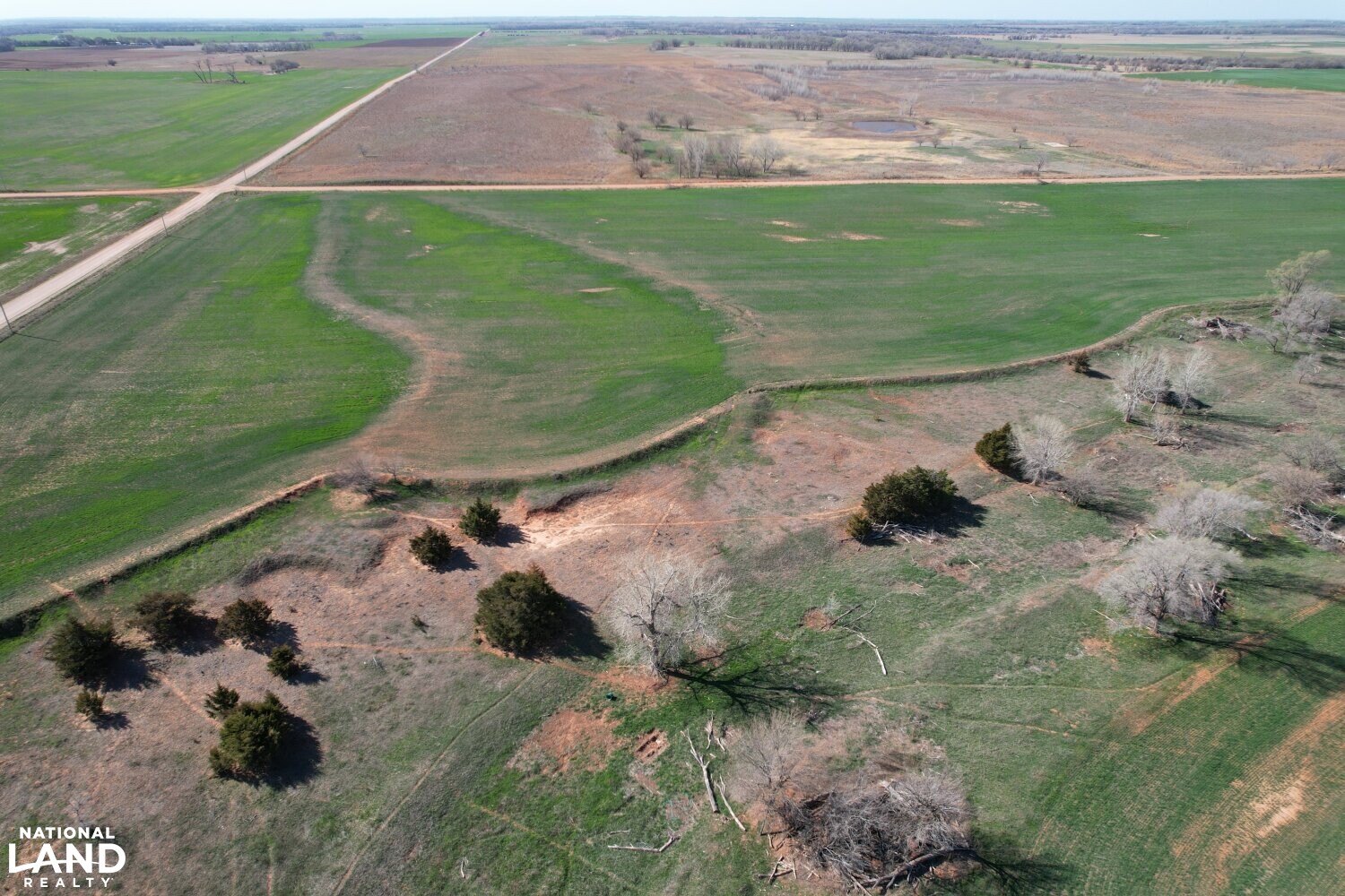 Crystal Springs Hunting and Tillable Quarter in Harper County, Kansas