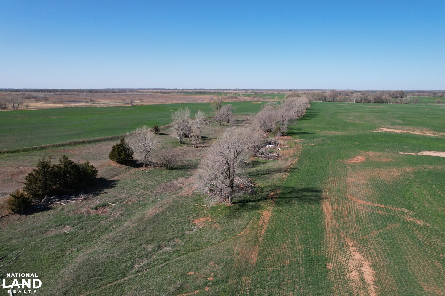 Crystal Springs Hunting and Tillable Quarter in Harper County, Kansas
