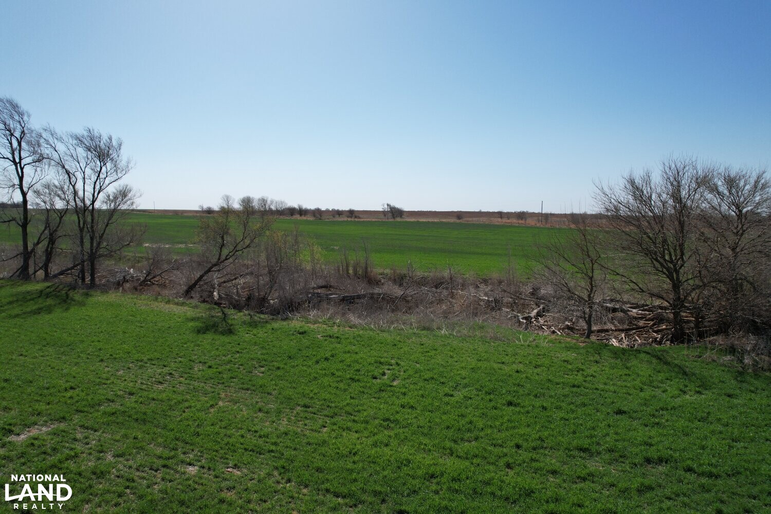 Crystal Springs Hunting and Tillable Quarter in Harper County, Kansas