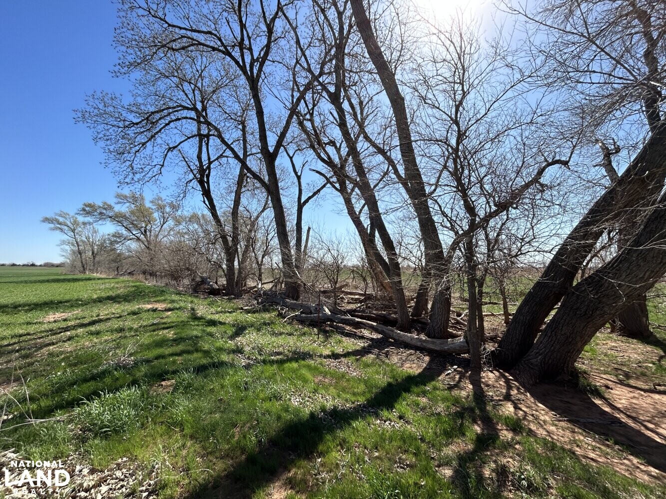 Crystal Springs Hunting and Tillable Quarter in Harper County, Kansas
