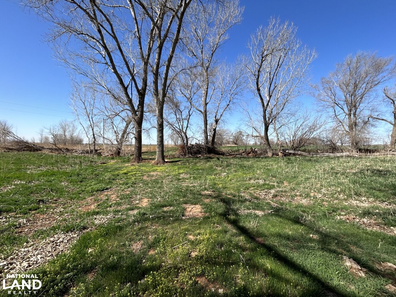 Crystal Springs Hunting and Tillable Quarter in Harper County, Kansas