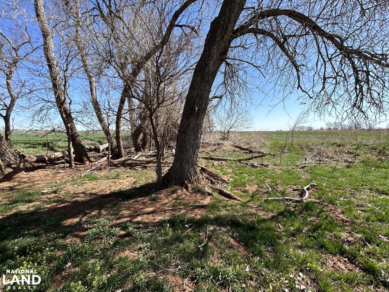 Crystal Springs Hunting and Tillable Quarter in Harper County, Kansas
