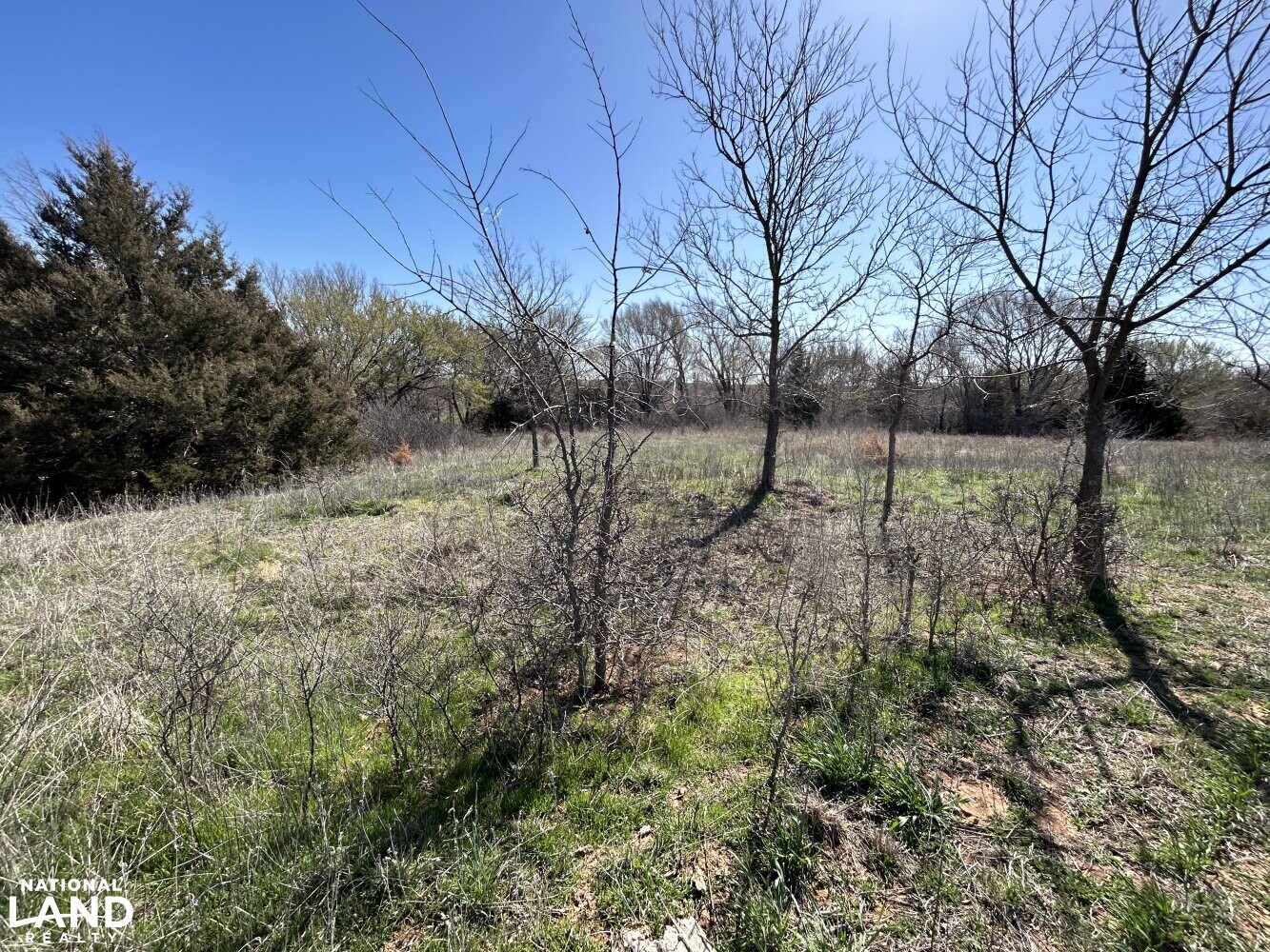 Crystal Springs Hunting and Tillable Quarter in Harper County, Kansas