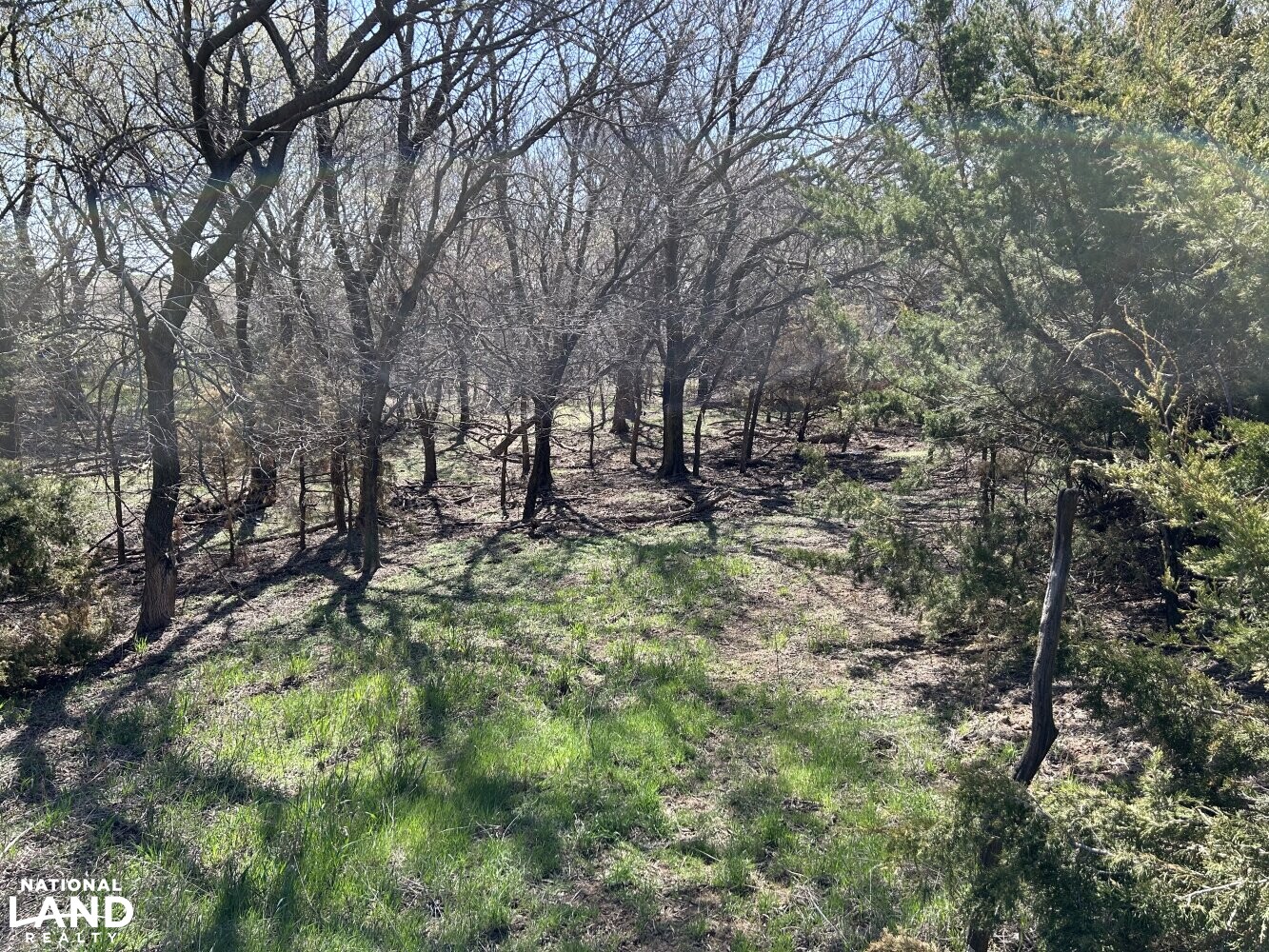 Crystal Springs Hunting and Tillable Quarter in Harper County, Kansas