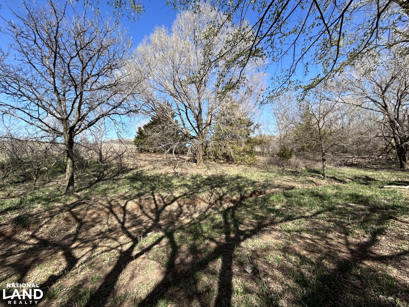 Crystal Springs Hunting and Tillable Quarter in Harper County, Kansas