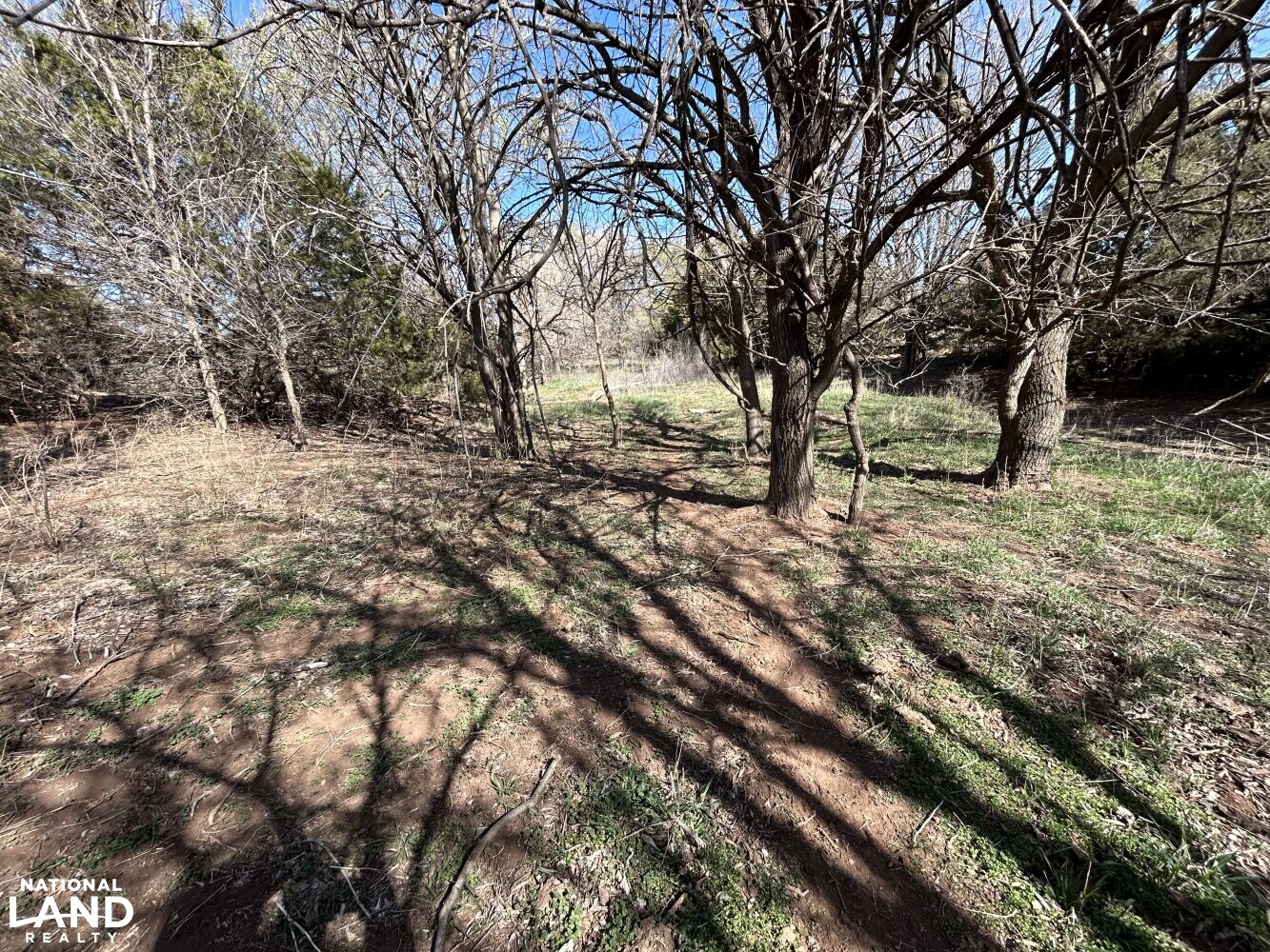 Crystal Springs Hunting and Tillable Quarter in Harper County, Kansas