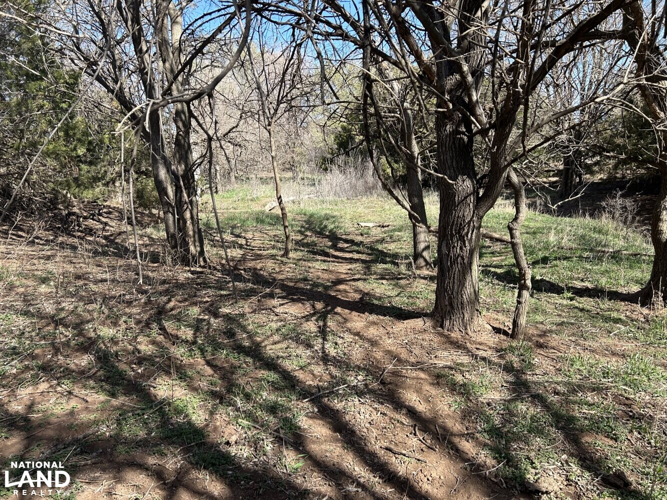 Crystal Springs Hunting and Tillable Quarter in Harper County, Kansas