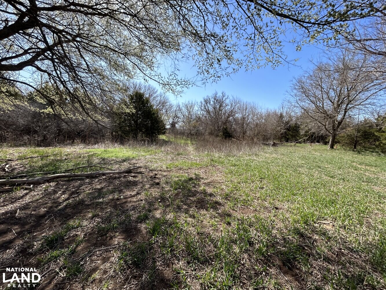 Crystal Springs Hunting and Tillable Quarter in Harper County, Kansas