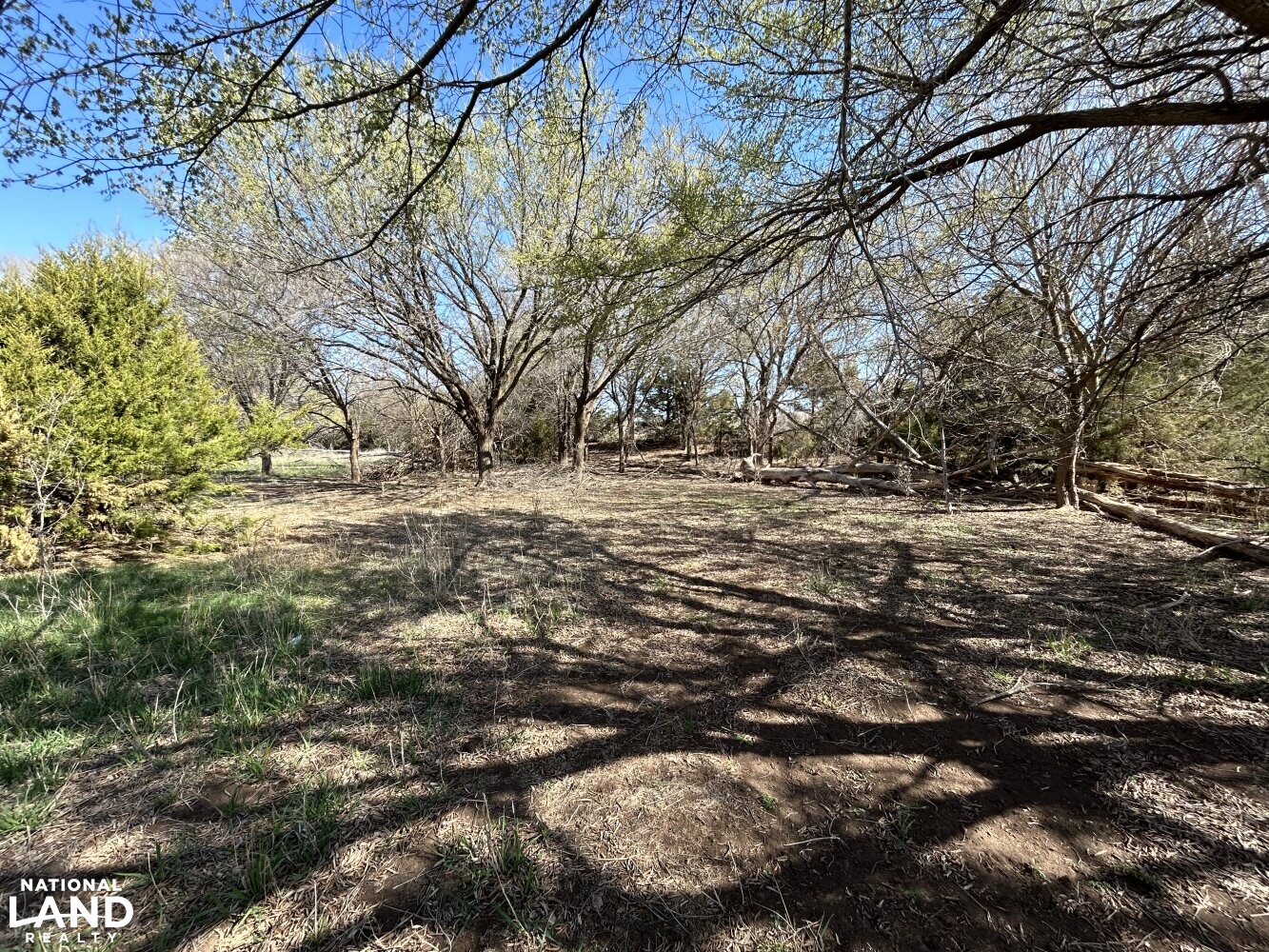 Crystal Springs Hunting and Tillable Quarter in Harper County, Kansas