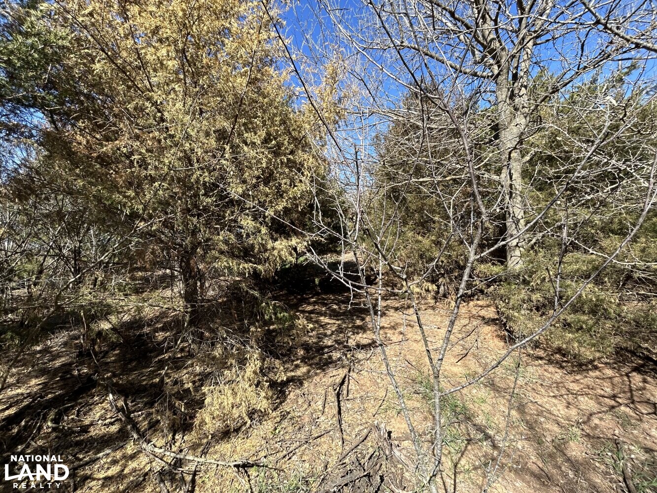 Crystal Springs Hunting and Tillable Quarter in Harper County, Kansas