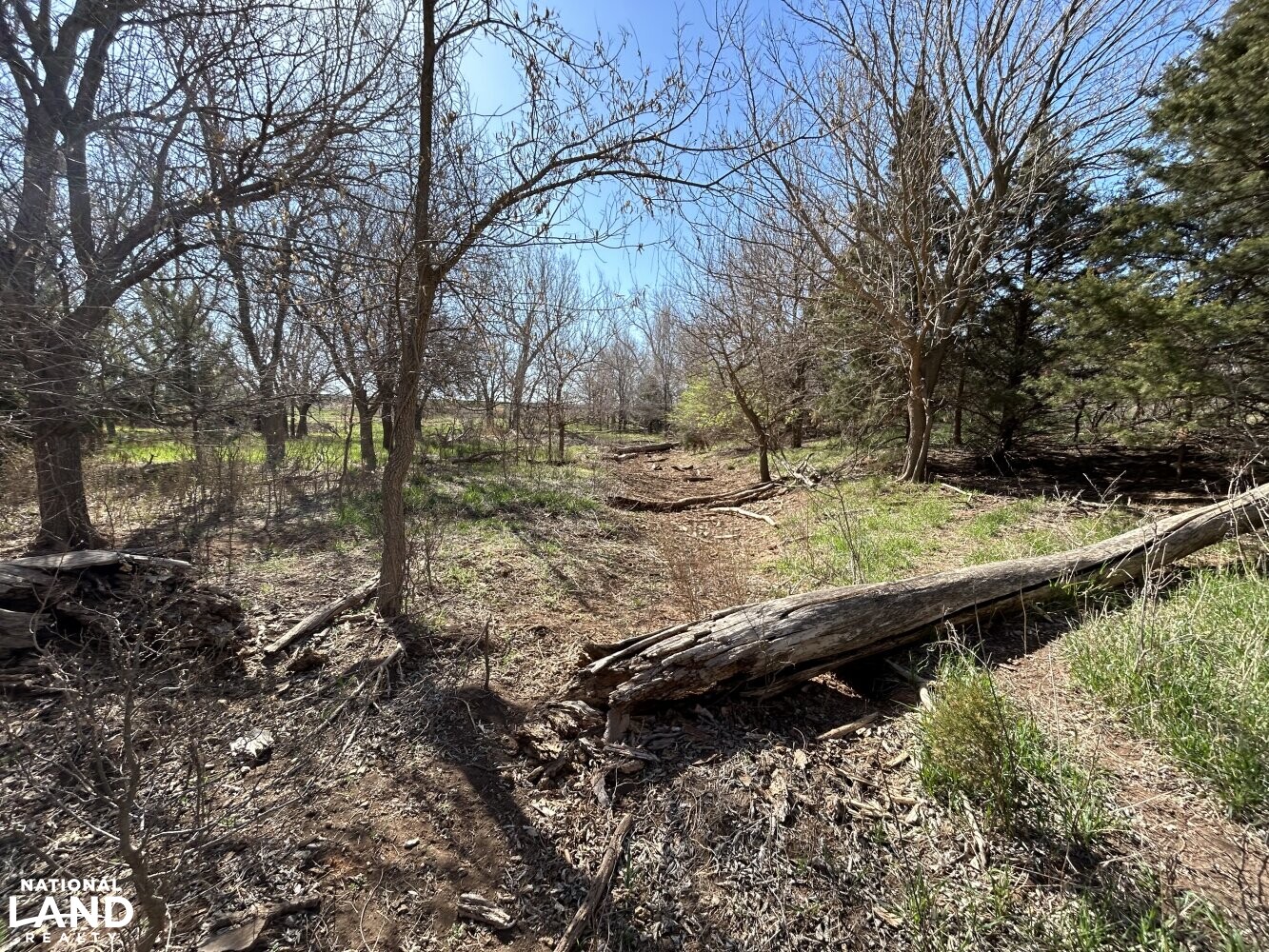 Crystal Springs Hunting and Tillable Quarter in Harper County, Kansas