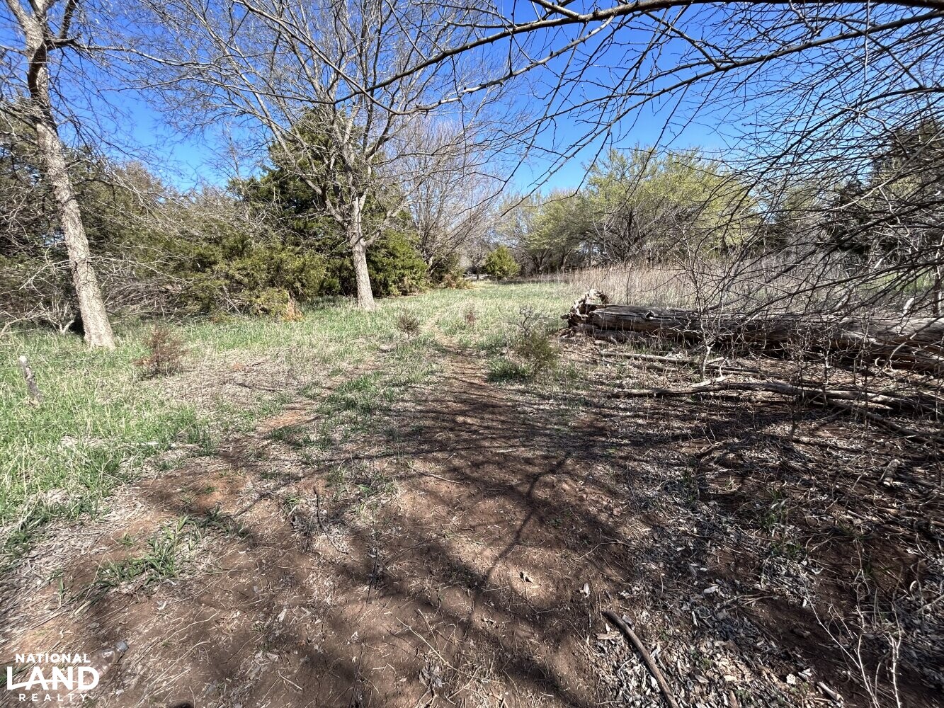 Crystal Springs Hunting and Tillable Quarter in Harper County, Kansas