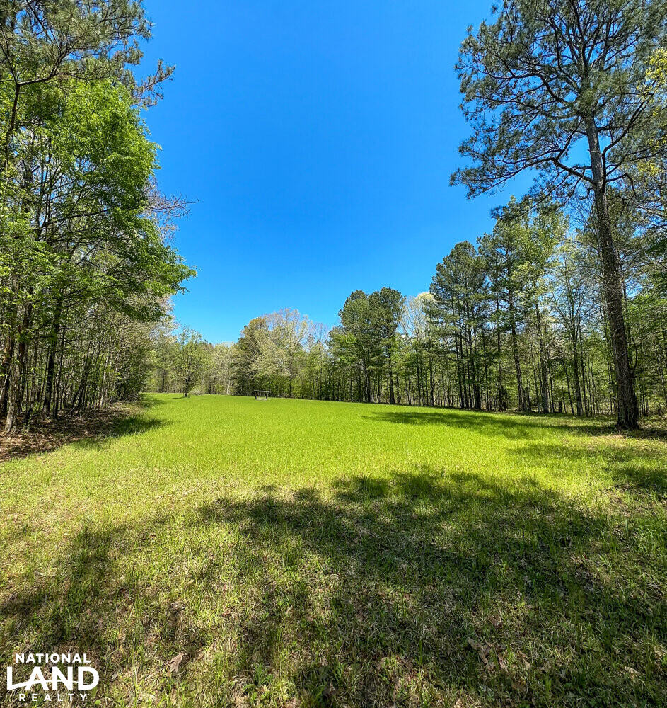 Whirl Creek Timber And Hunting Tract in Marengo County, Alabama (52
