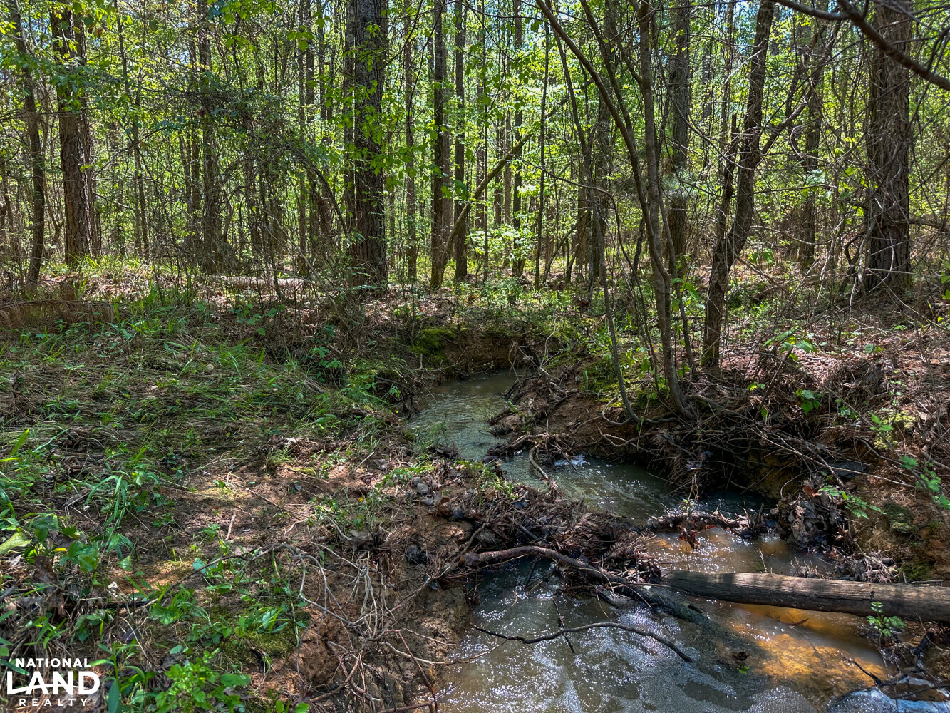 Whirl Creek Timber And Hunting Tract in Marengo County, Alabama (52
