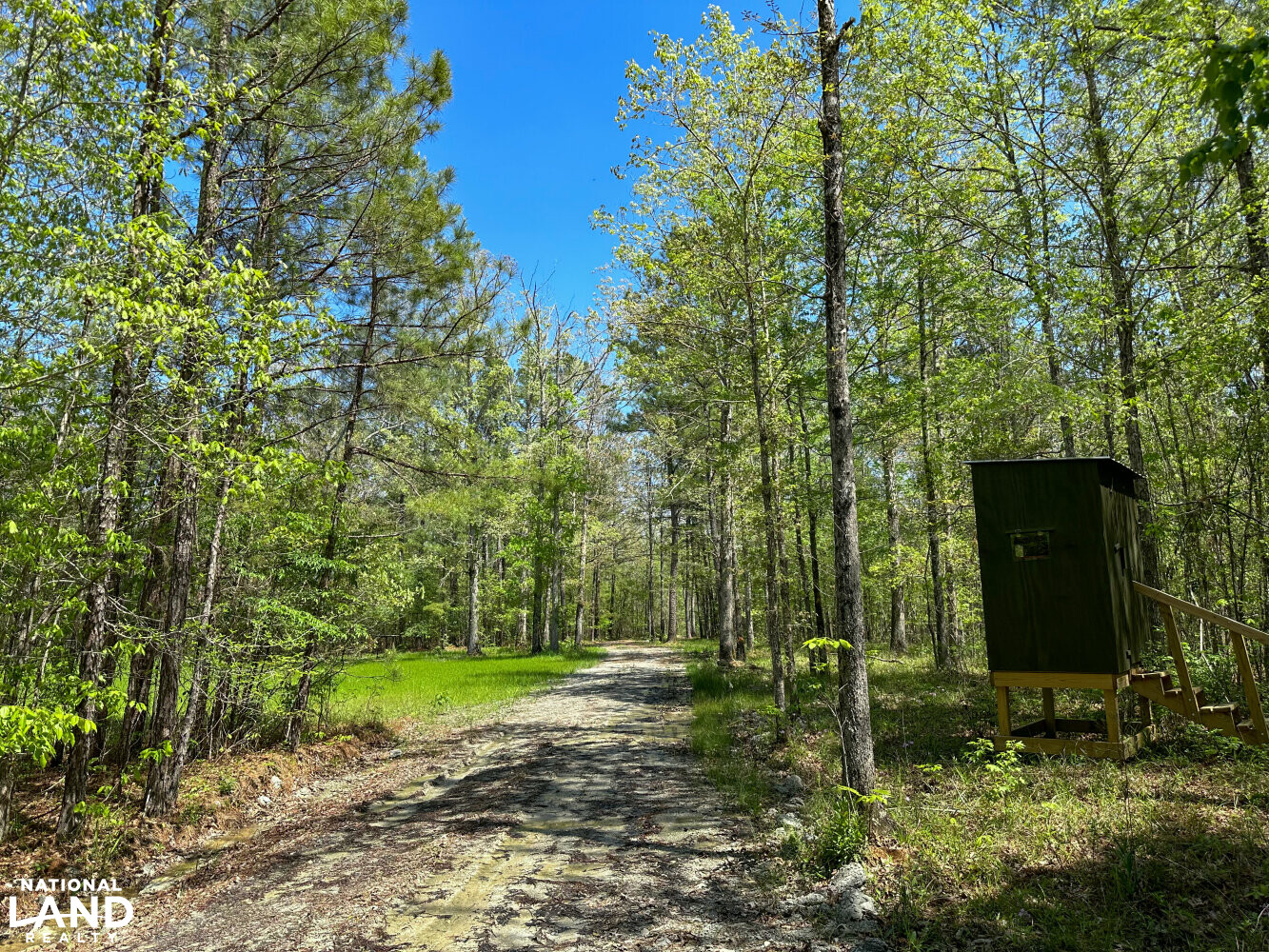 Whirl Creek Timber And Hunting Tract in Marengo County, Alabama (52