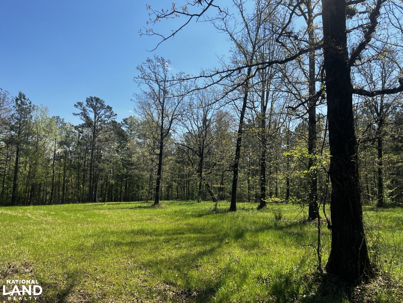 Whirl Creek Timber And Hunting Tract in Marengo County, Alabama (52