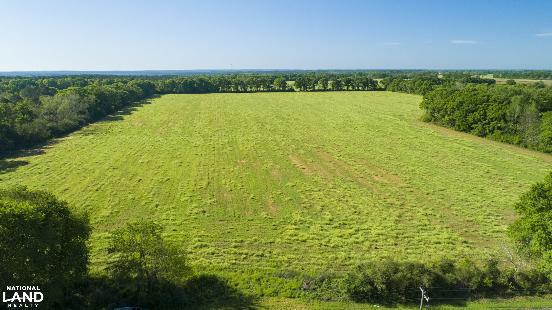 Excel Repton Row Crop Farm with Road Frontage in Monroe County, AL (6 of 37)