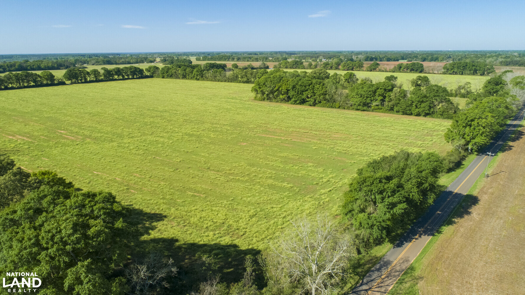 Excel Repton Row Crop Farm with Road Frontage in Monroe County, AL (20 of 37)