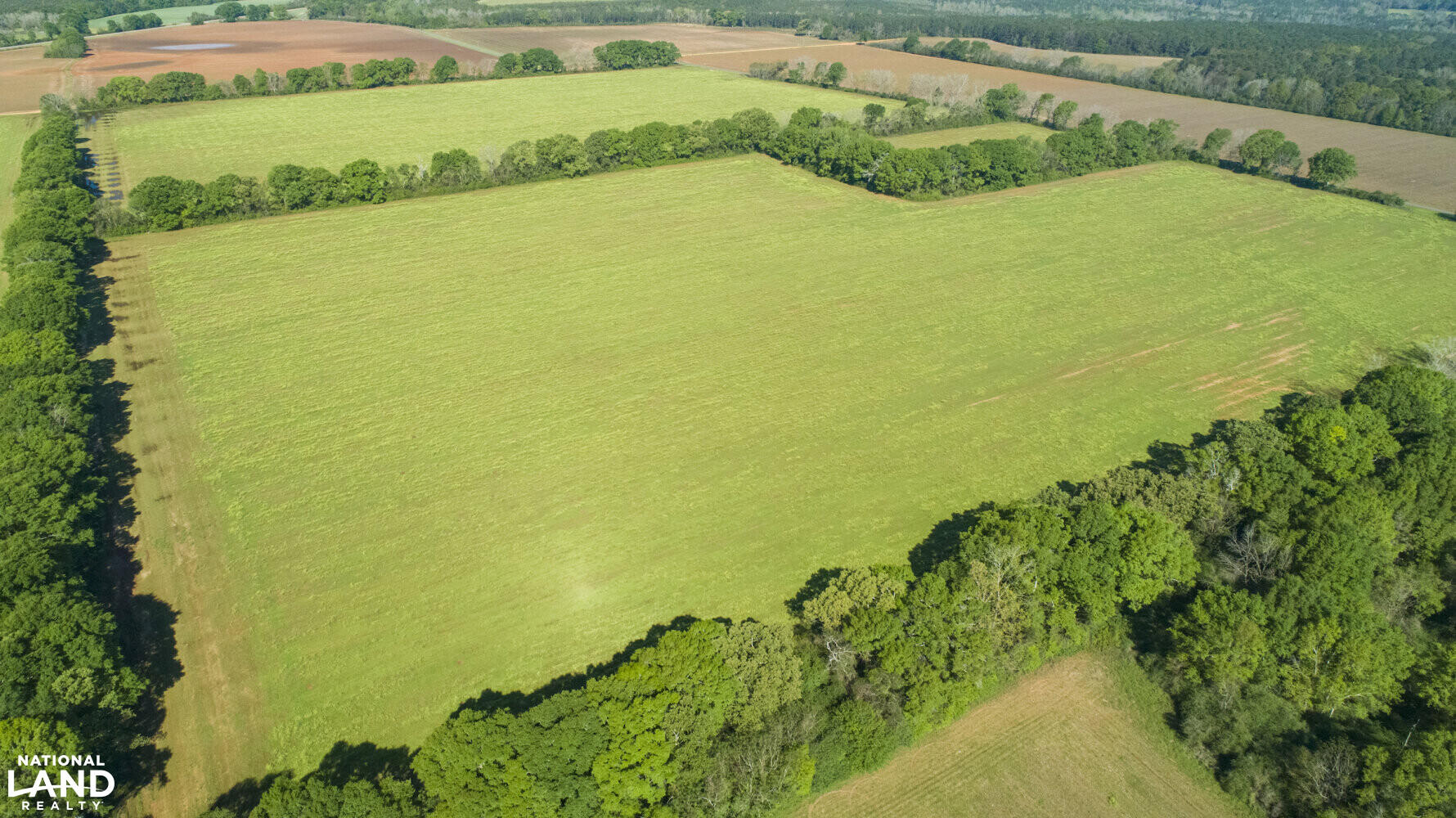 Excel Repton Row Crop Farm with Road Frontage in Monroe County, AL (23 of 37)