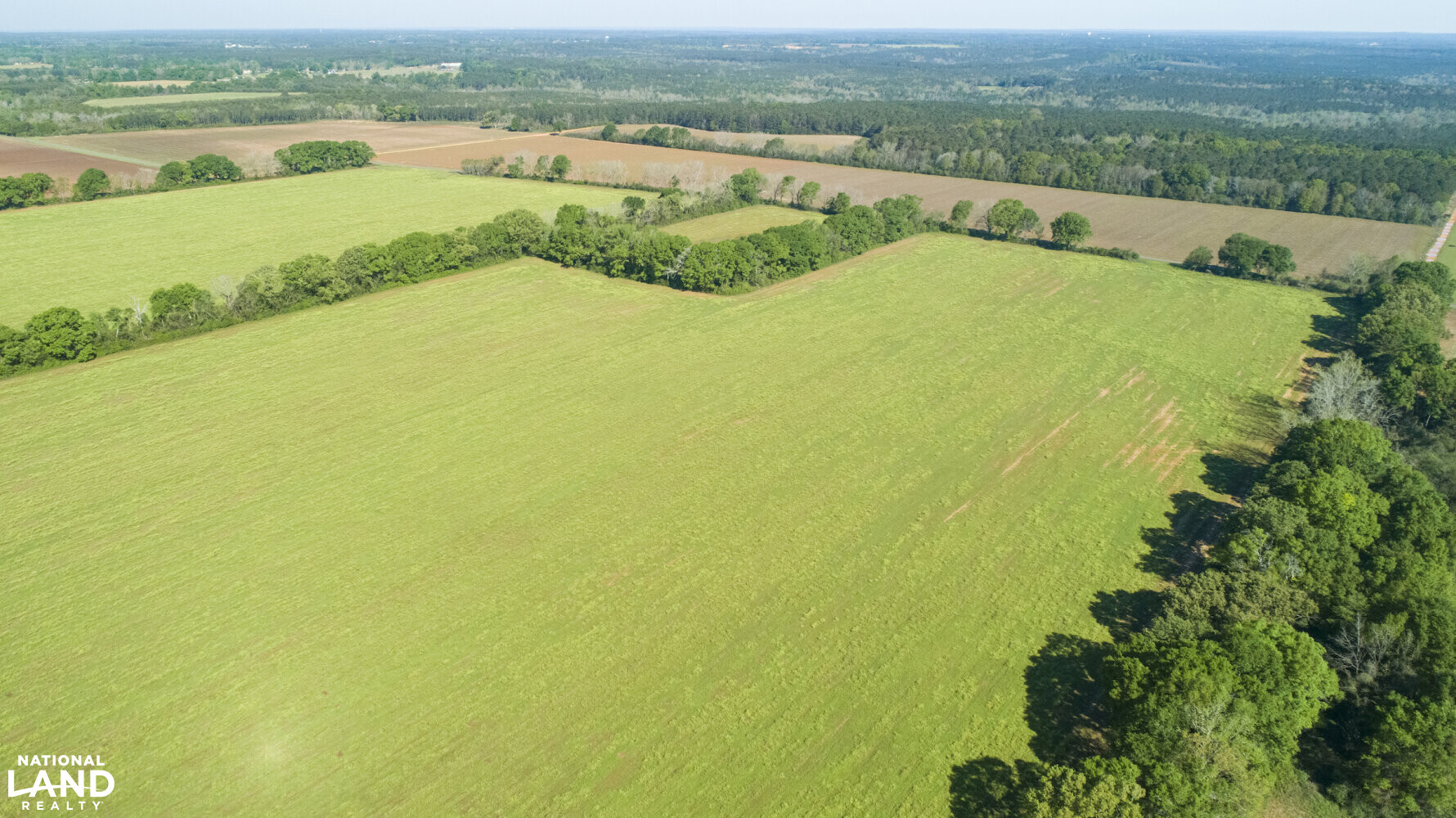 Excel Repton Row Crop Farm with Road Frontage in Monroe County, AL (32 of 37)