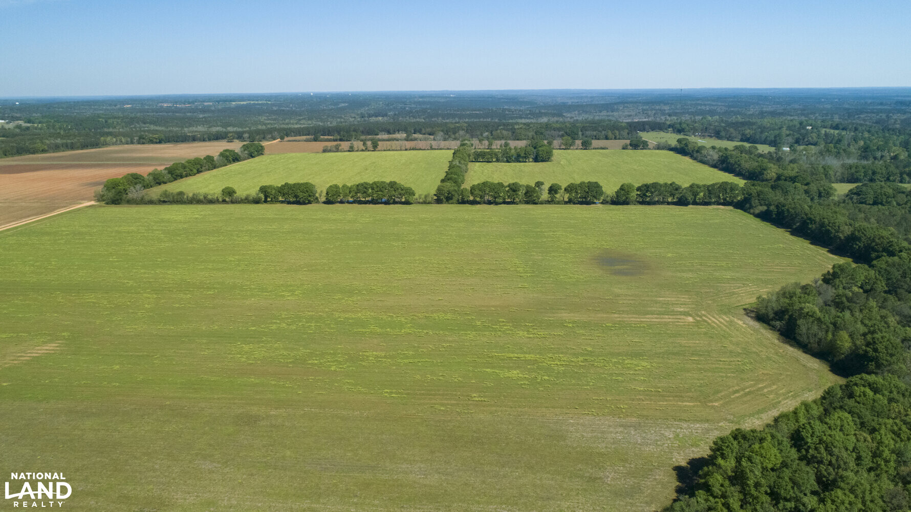 Excel Repton Row Crop Farm with Road Frontage in Monroe County, AL (3 of 37)