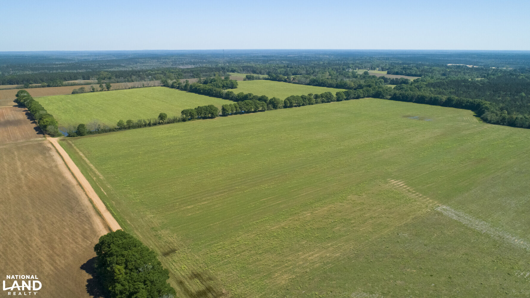 Excel Repton Row Crop Farm with Road Frontage in Monroe County, AL (14 of 37)
