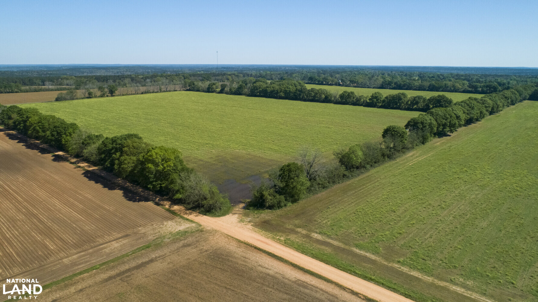 Excel Repton Row Crop Farm with Road Frontage in Monroe County, AL (35 of 37)