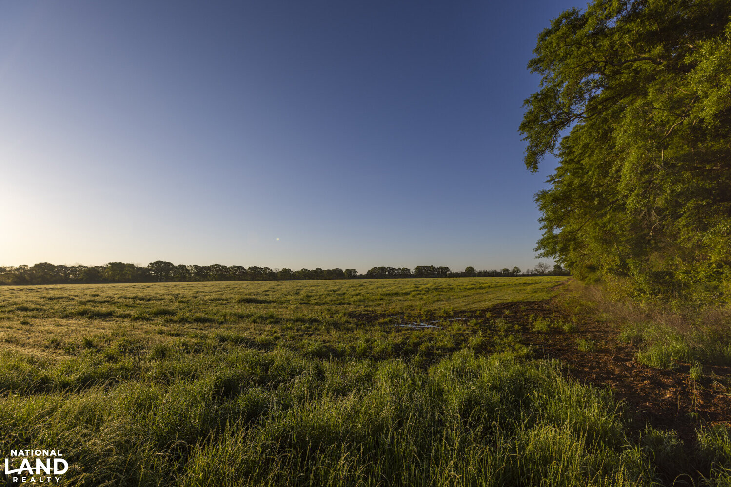 Excel Repton Row Crop Farm with Road Frontage in Monroe County, AL (8 of 37)