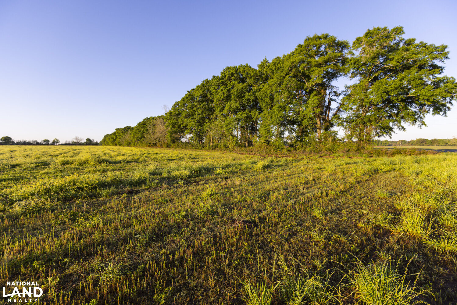 Excel Repton Row Crop Farm with Road Frontage in Monroe County, AL (29 of 37)