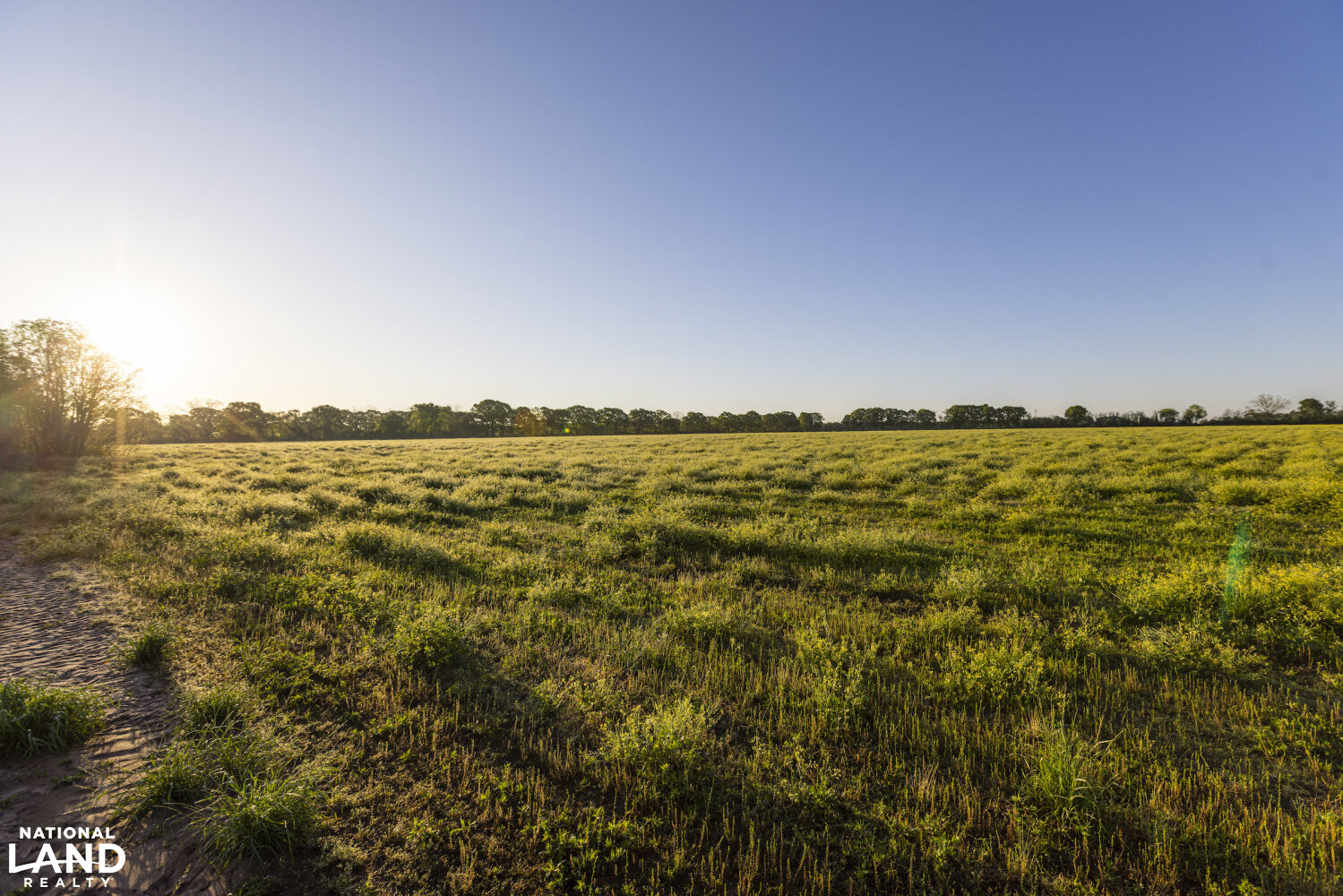 Excel Repton Row Crop Farm with Road Frontage in Monroe County, AL (2 of 37)