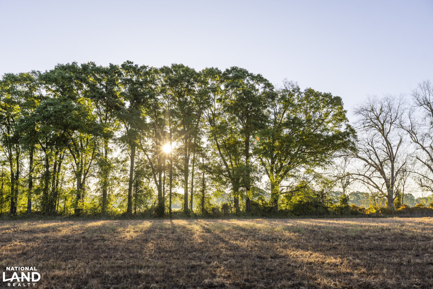 Excel Repton Row Crop Farm with Road Frontage in Monroe County, AL (1 of 37)
