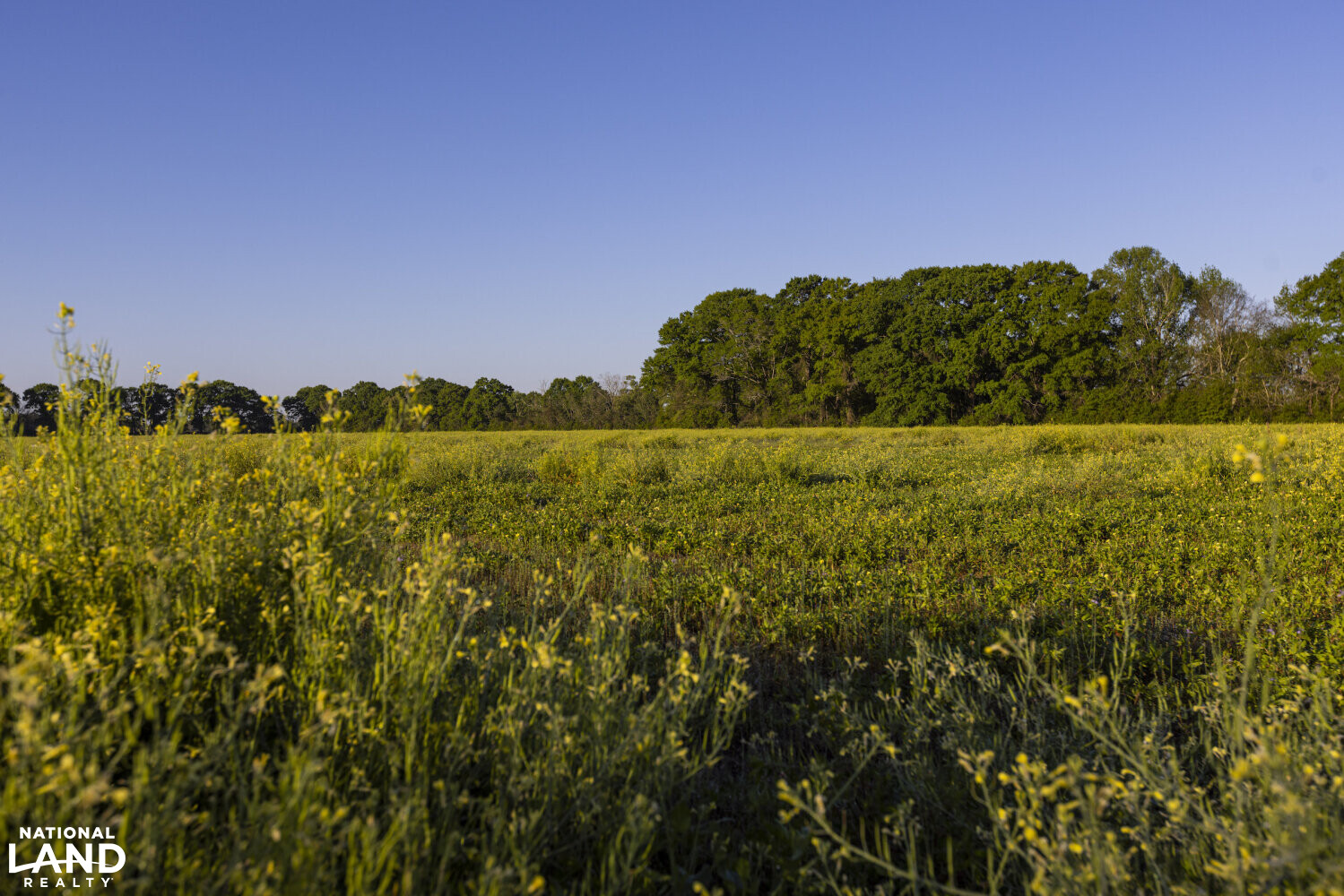 Excel Repton Row Crop Farm with Road Frontage in Monroe County, AL (37 of 37)