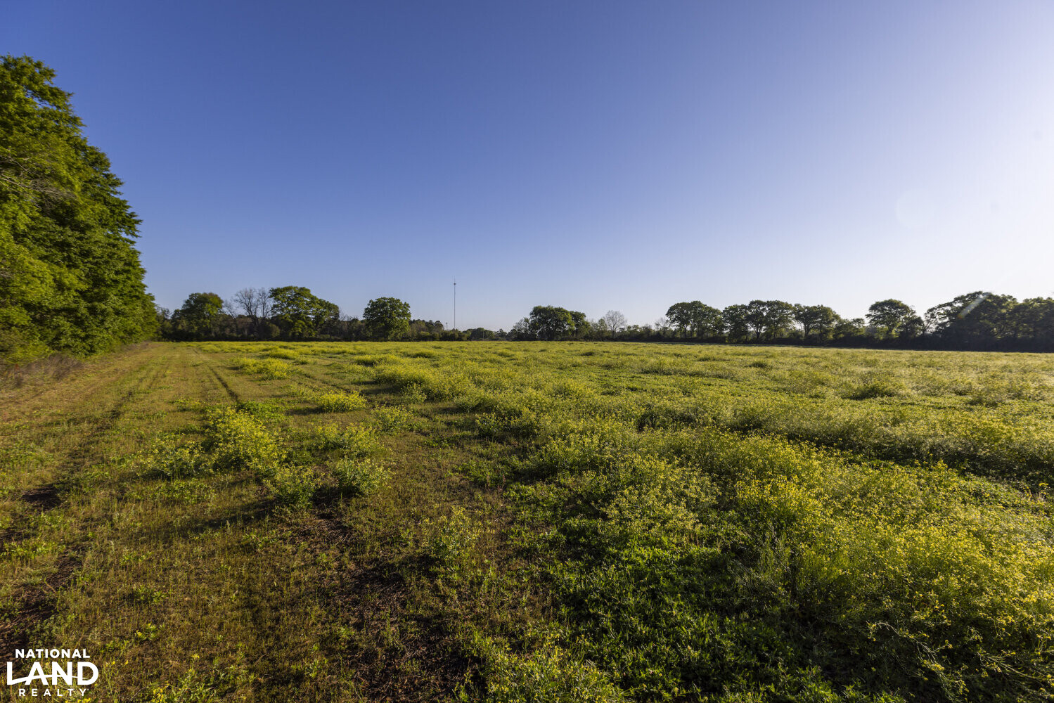 Excel Repton Row Crop Farm with Road Frontage in Monroe County, AL (12 of 37)