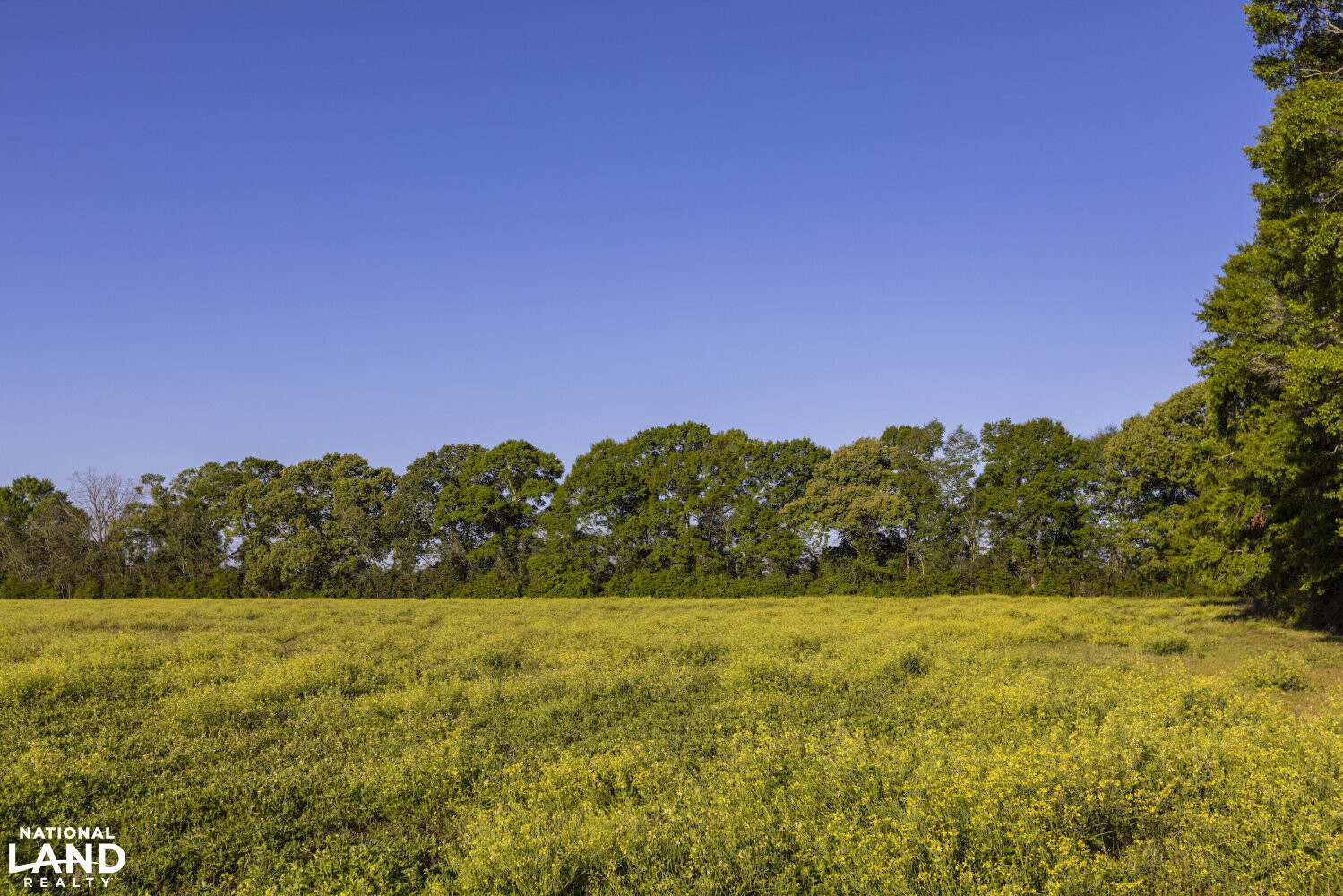 Excel Repton Row Crop Farm with Road Frontage in Monroe County, AL (13 of 37)