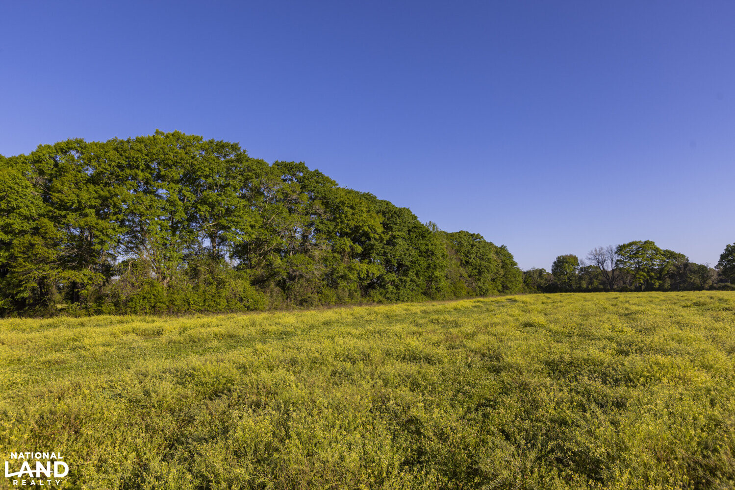 Excel Repton Row Crop Farm with Road Frontage in Monroe County, AL (16 of 37)