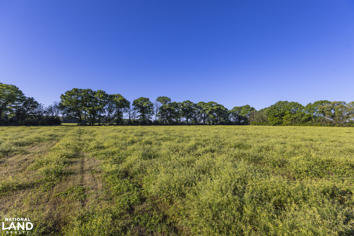 Excel Repton Row Crop Farm with Road Frontage in Monroe County, AL (15 of 37)