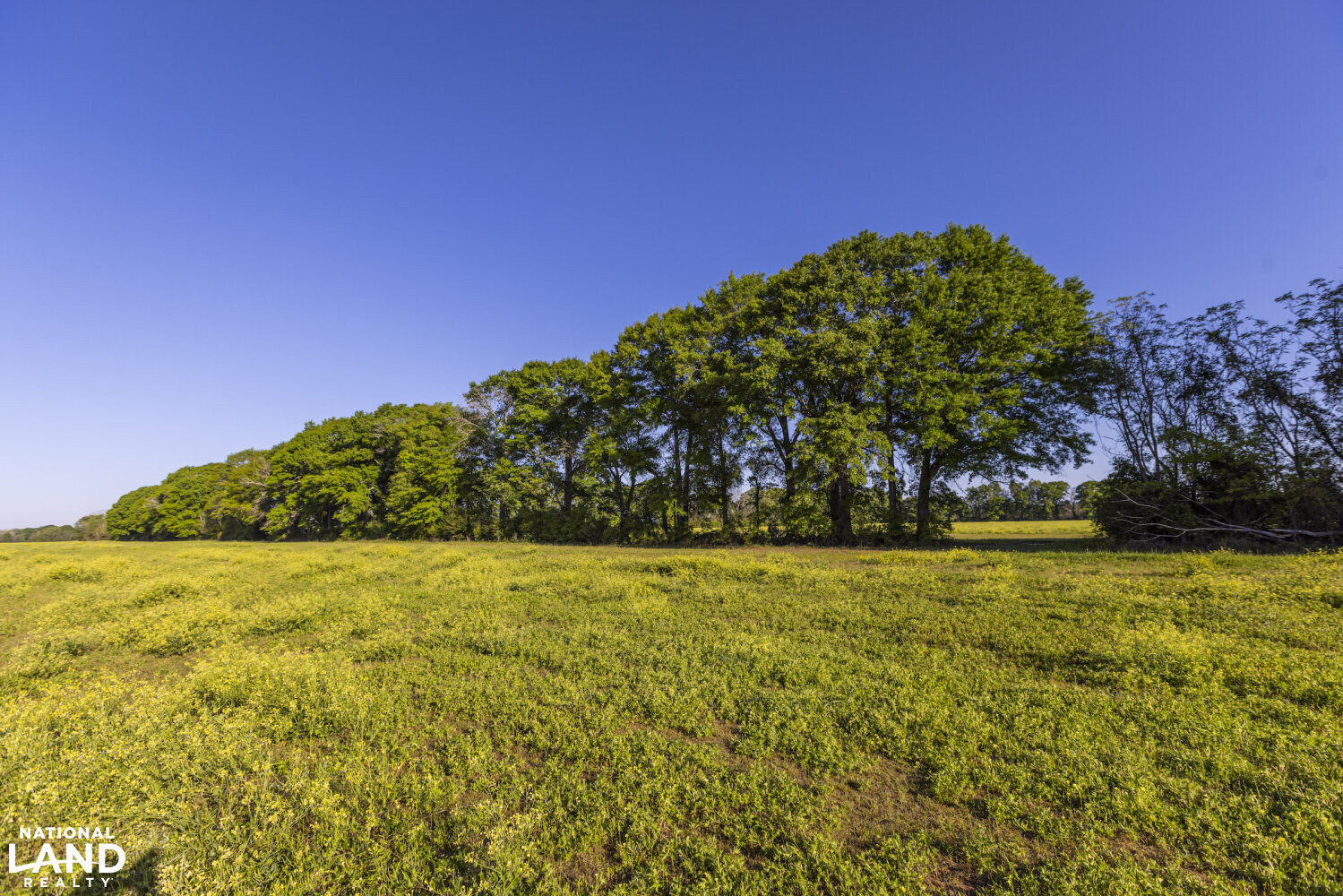 Excel Repton Row Crop Farm with Road Frontage in Monroe County, AL (21 of 37)