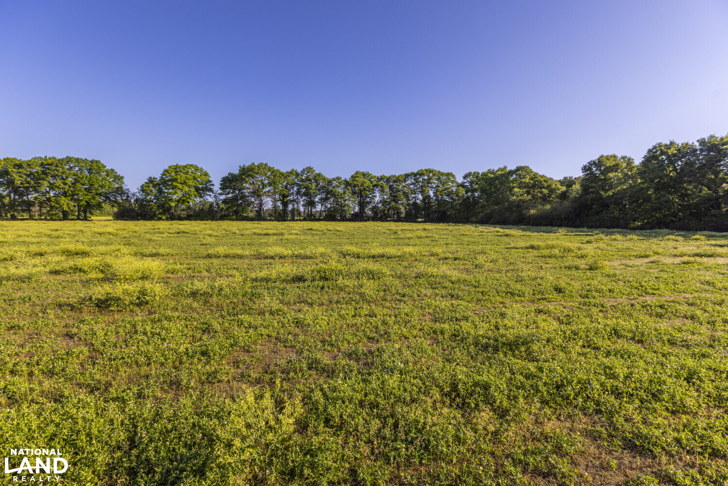 Excel Repton Row Crop Farm with Road Frontage in Monroe County, AL (10 of 37)