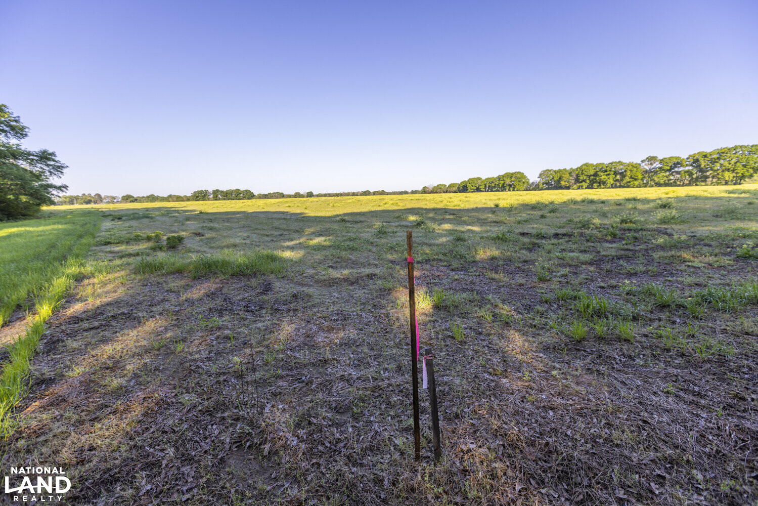 Excel Repton Row Crop Farm with Road Frontage in Monroe County, AL (22 of 37)