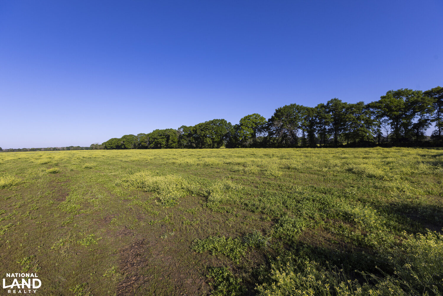 Excel Repton Row Crop Farm with Road Frontage in Monroe County, AL (28 of 37)