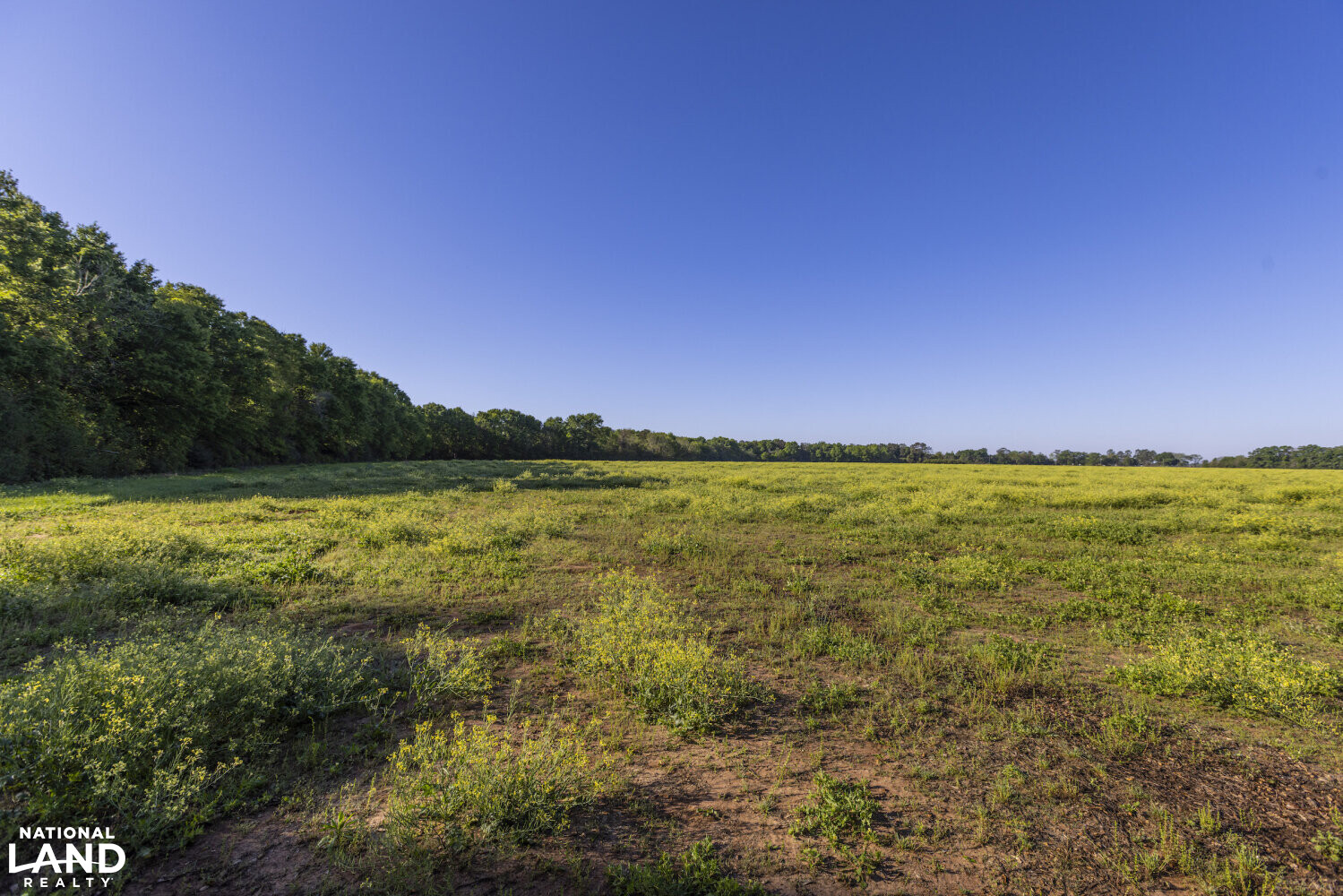 Excel Repton Row Crop Farm with Road Frontage in Monroe County, AL (19 of 37)