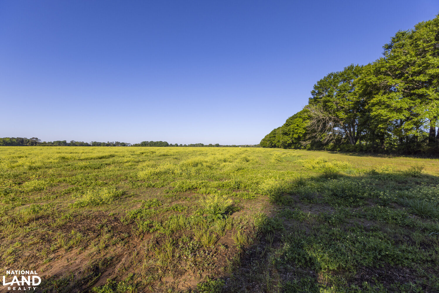 Excel Repton Row Crop Farm with Road Frontage in Monroe County, AL (24 of 37)