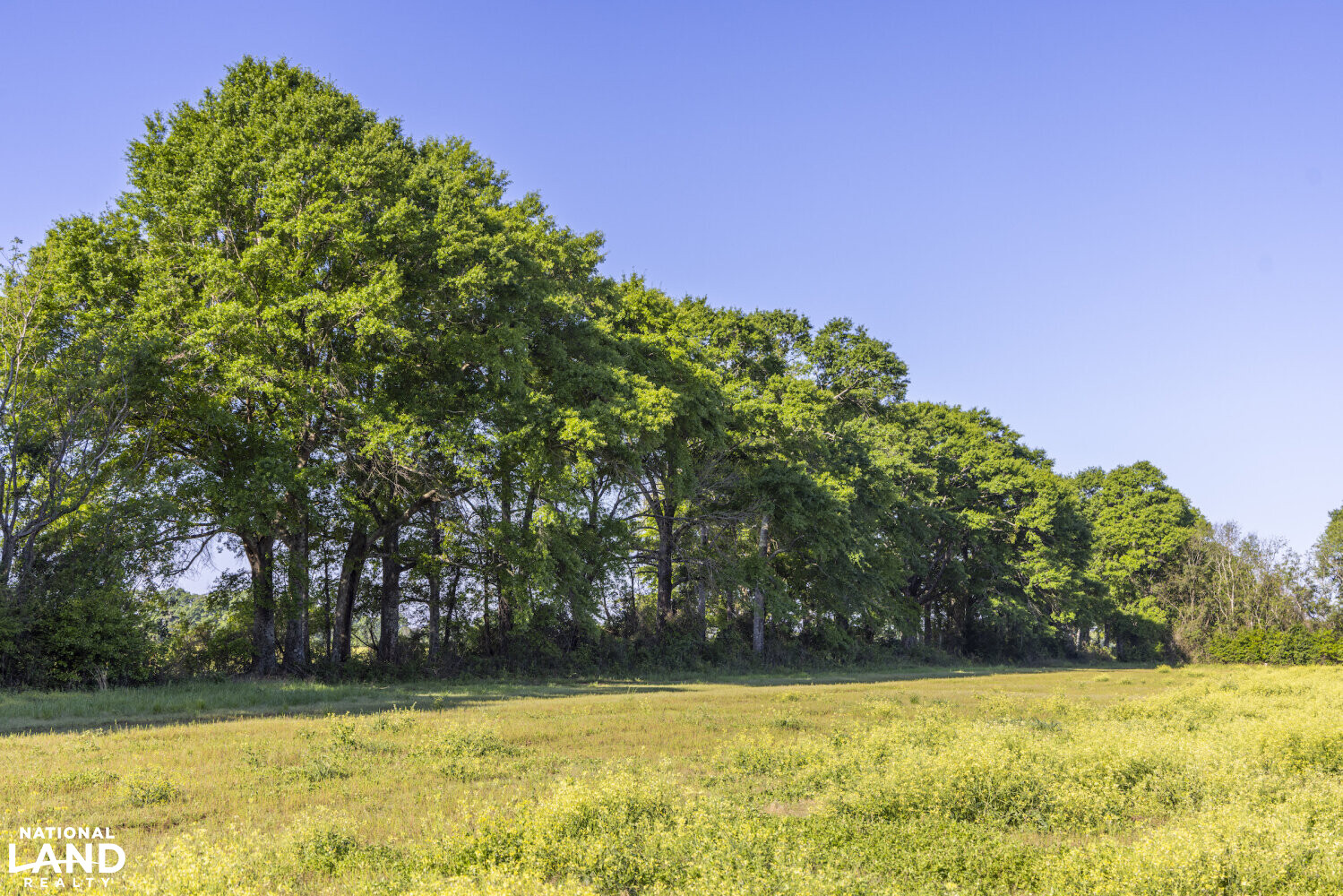 Excel Repton Row Crop Farm with Road Frontage in Monroe County, AL (25 of 37)
