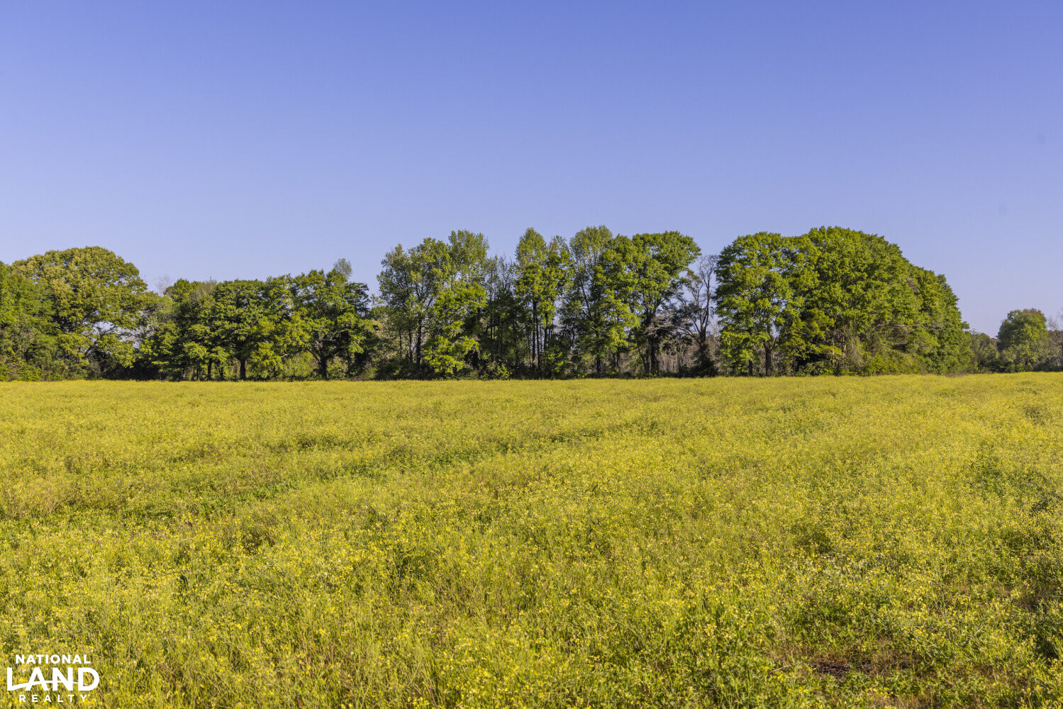 Excel Repton Row Crop Farm with Road Frontage in Monroe County, AL (26 of 37)