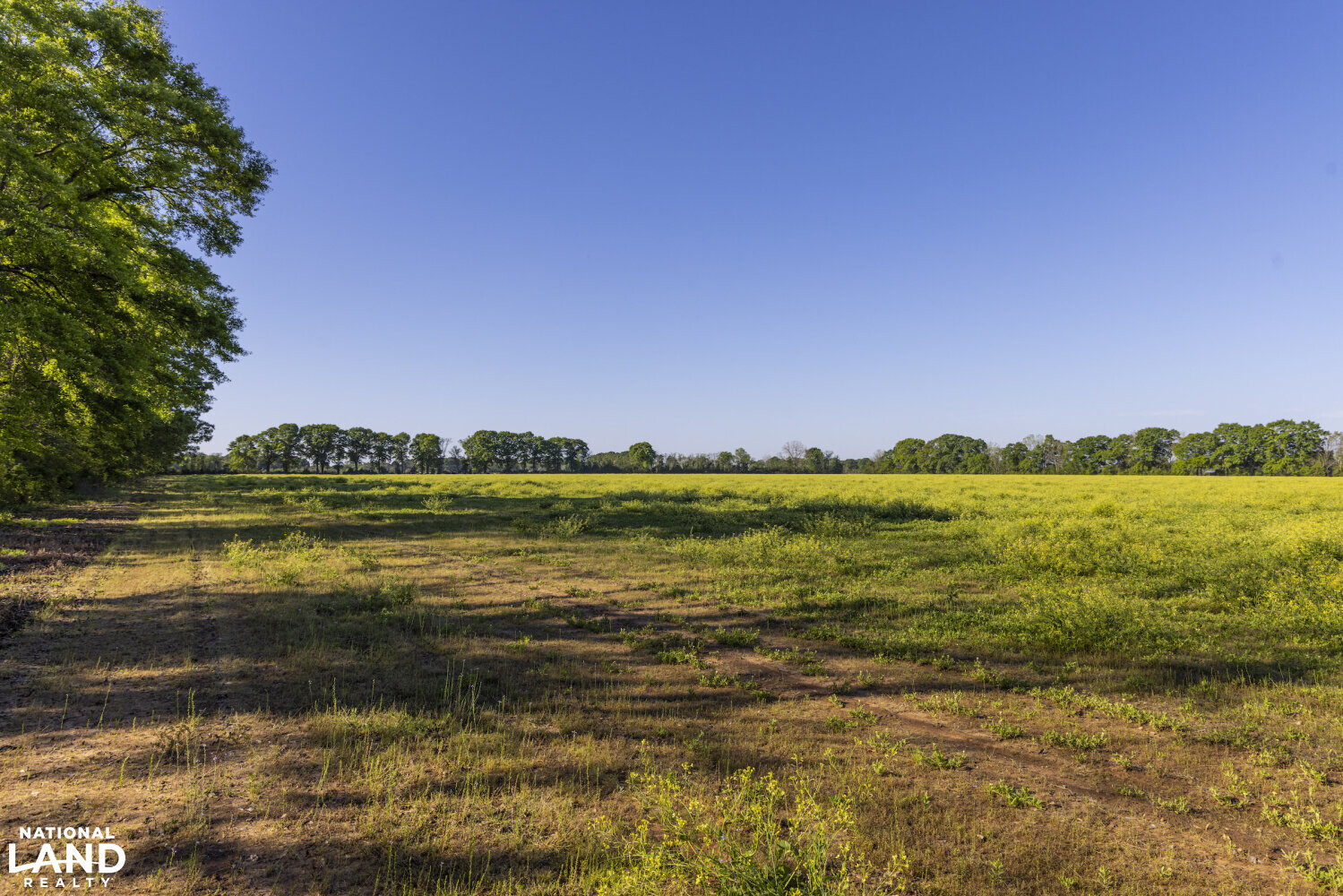 Excel Repton Row Crop Farm with Road Frontage in Monroe County, AL (18 of 37)