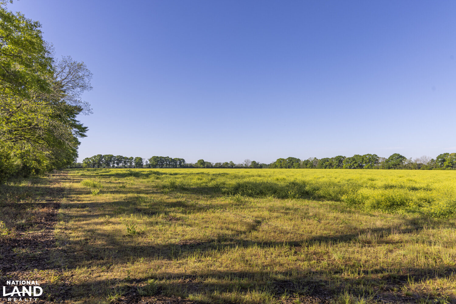 Excel Repton Row Crop Farm with Road Frontage in Monroe County, AL (9 of 37)