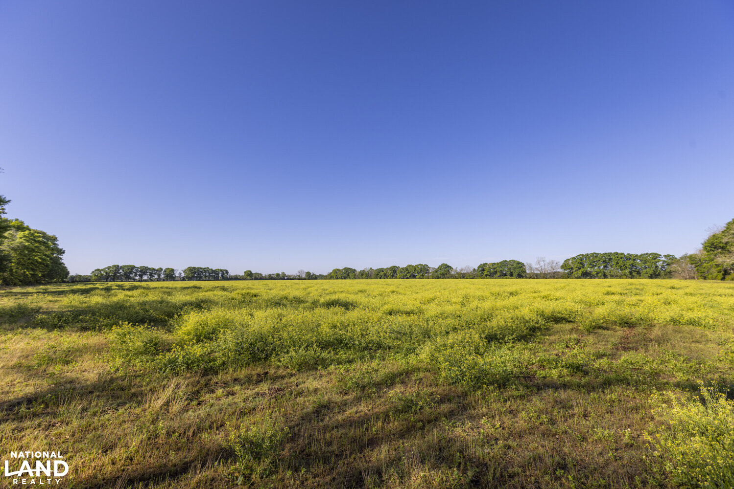 Excel Repton Row Crop Farm with Road Frontage in Monroe County, AL (31 of 37)