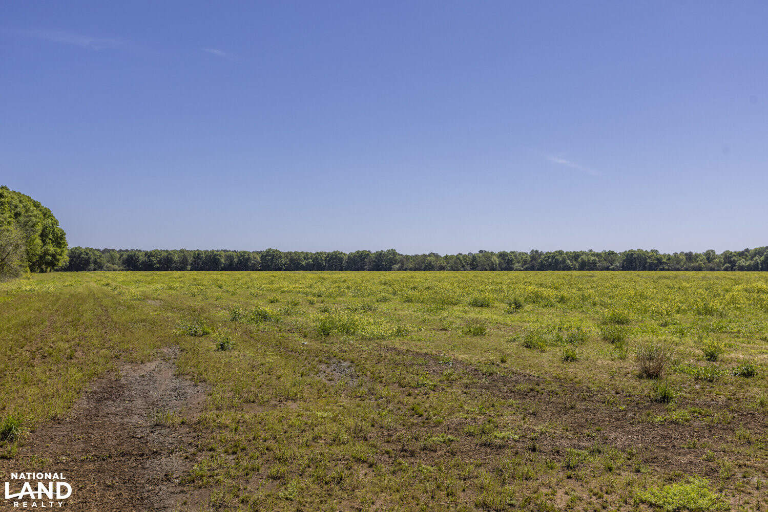 Excel Repton Row Crop Farm with Road Frontage in Monroe County, AL (33 of 37)