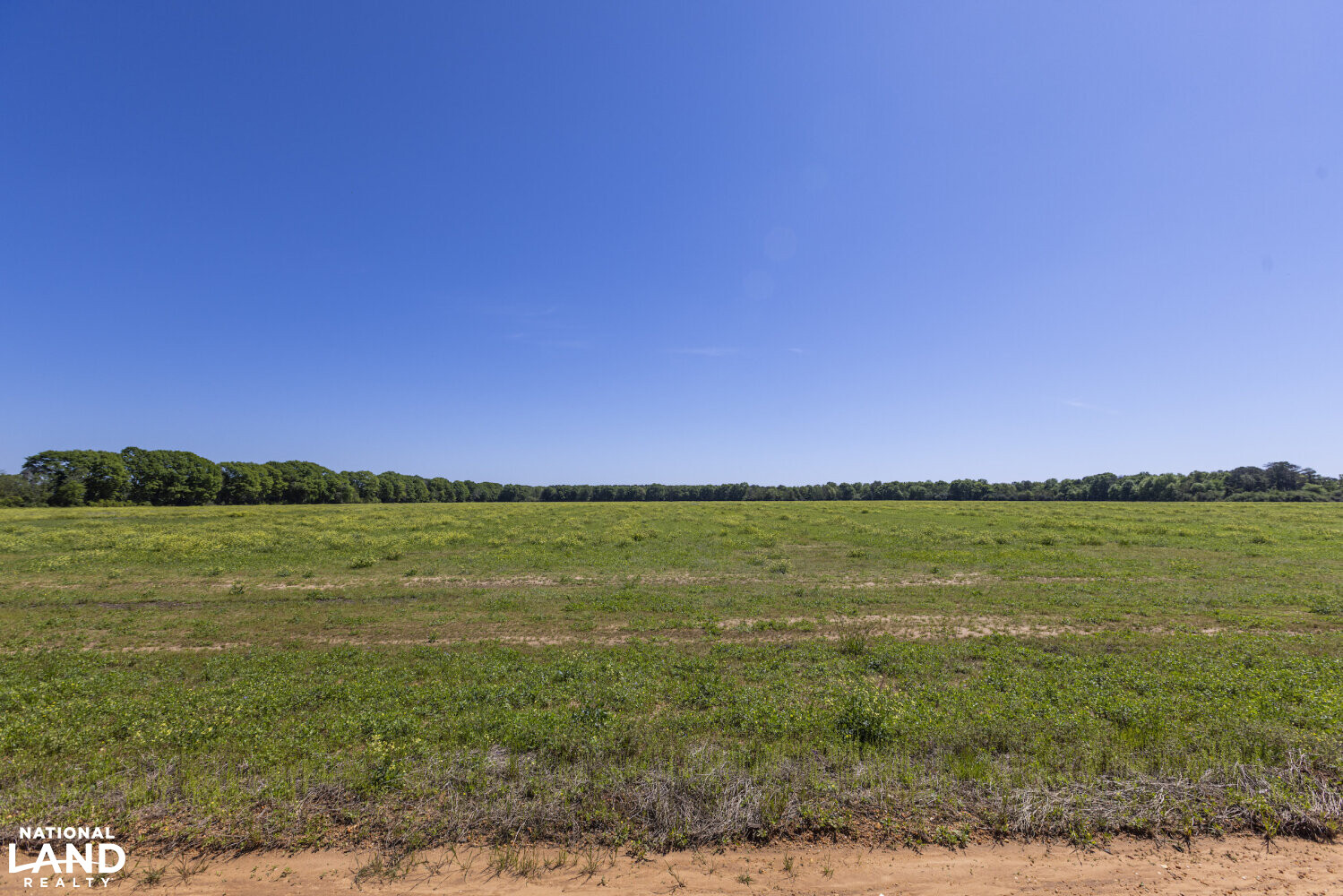Excel Repton Row Crop Farm with Road Frontage in Monroe County, AL (34 of 37)