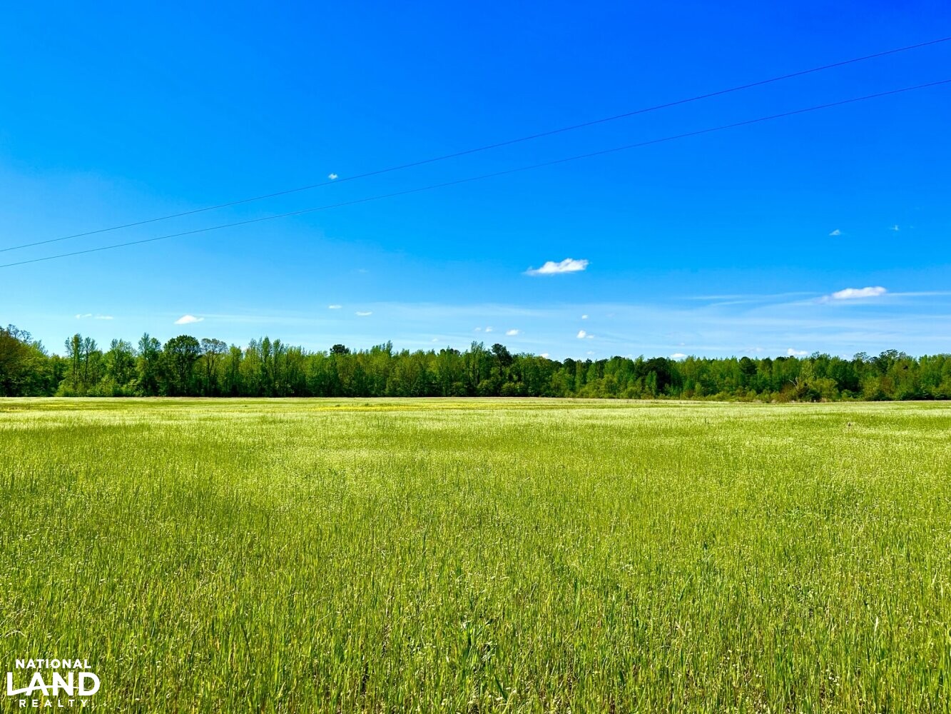 20 +/- acre hayfield (25 of 87)